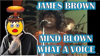 METAL HEAD REACTS!!! James Brown - It's A Man's World - Live - 11 July 1981