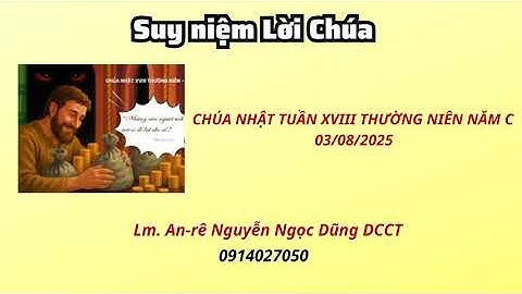 Suy niệm Lời Chúa Chúa Nhật tuần XVIII thường niên năm C 03/08/2025 | Lm.Anrê Nguyễn Ngọc Dũng DCCT