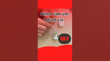 Phích cắm âm, phích nối #cuahangnhapsuot #chiasekinhnghiem