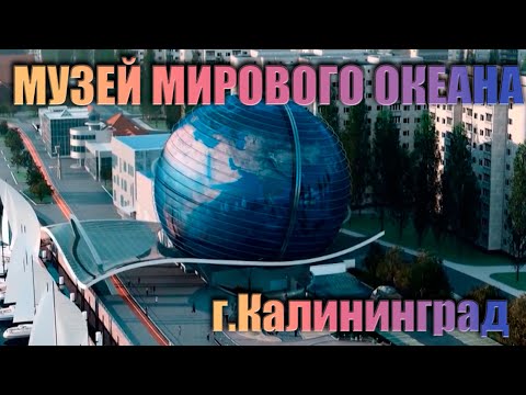 Музей мирового океана г. Калининград