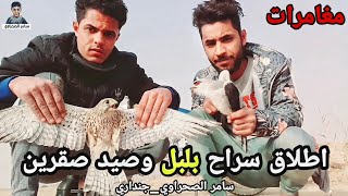 اطلاق سراح بلبل وحشي للحريه وصيد نوعان من الصقور ??