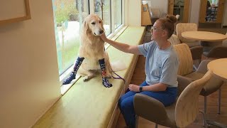 Soft socks & furry friends: Fundraising  supports Cincinnati Children's Hospital therapy dog program screenshot 5