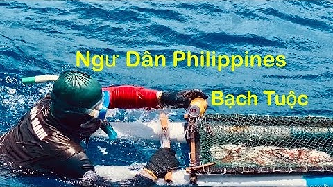 Bắt Gặp Ngư Dân Philippines Câu Bạch Tuộc 🐙 Ở Bãi Cạn”Phúc Giác”