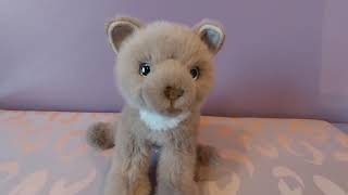Reviewing Kneadie the Soft Gray Cat by Douglas Cuddle Toys 🩶