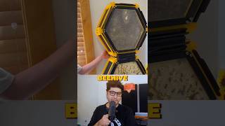 He built a beehive in his bedroom