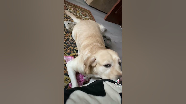 Это золотой ребёнок🤗🥰