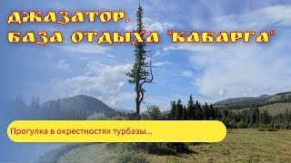 Турбаза "Кабарга". Джазатор. (Беляши). Республика Алтай 2023