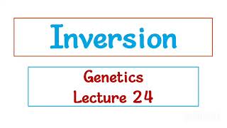 Inversion / Genetics / Lecture 24