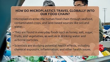 How Do Microplastics Travel Globally Into Our Food Chain? - The Upcycle Lab