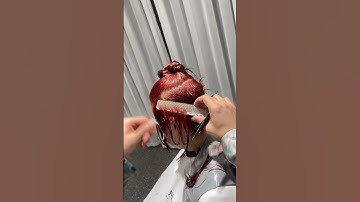 Hướng dẫn cắt Bob Nhật Hàn siêu đơn giản #hairstyle #xuhuong #cattoc #taokieutoc #cắttócđẹp