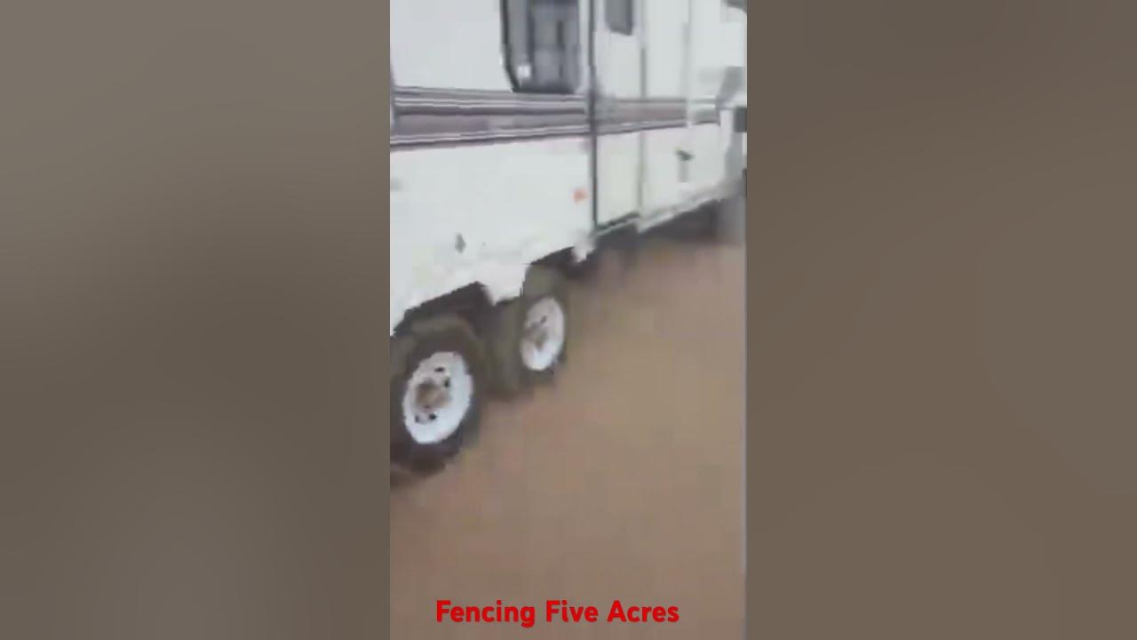 Genesis catches a ride to her forever home on the homestead in the