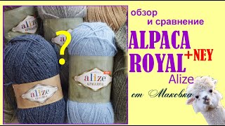 Хит сезона Alpaca royal NEW от Alize