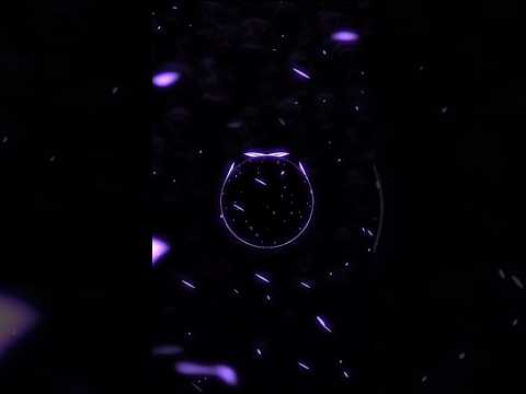 𝐌𝐎𝐍𝐓𝐀𝐆𝐄𝐌 𝐍𝐎𝐂𝐇𝐄 𝐔𝐥𝐭𝐫𝐚 𝐒𝐥𝐨𝐰𝐞𝐝 Phonk Funk Phonkmusic Funkmusic Phonkbeats Bass Bassboosted 