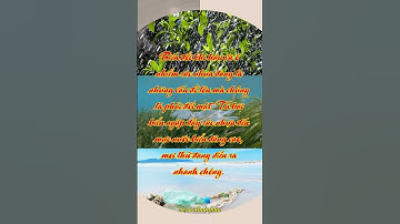 Biến Đổi Khí Hậu và Rác Nhựa: Nguy Cơ Đang Tăng Cao #racthainhua #onhiemnhua