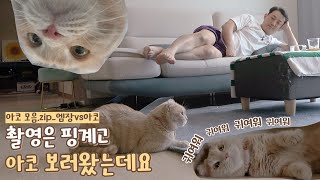 [엠장VS아코] 촬영은 핑계고 아코 보러 왔는데요｜아코 모음.zip｜브이로그 Vlog