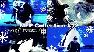 MEP Collection #12 [Special Christmas !] by Galinette1208 596 views 7 years ago 57 seconds