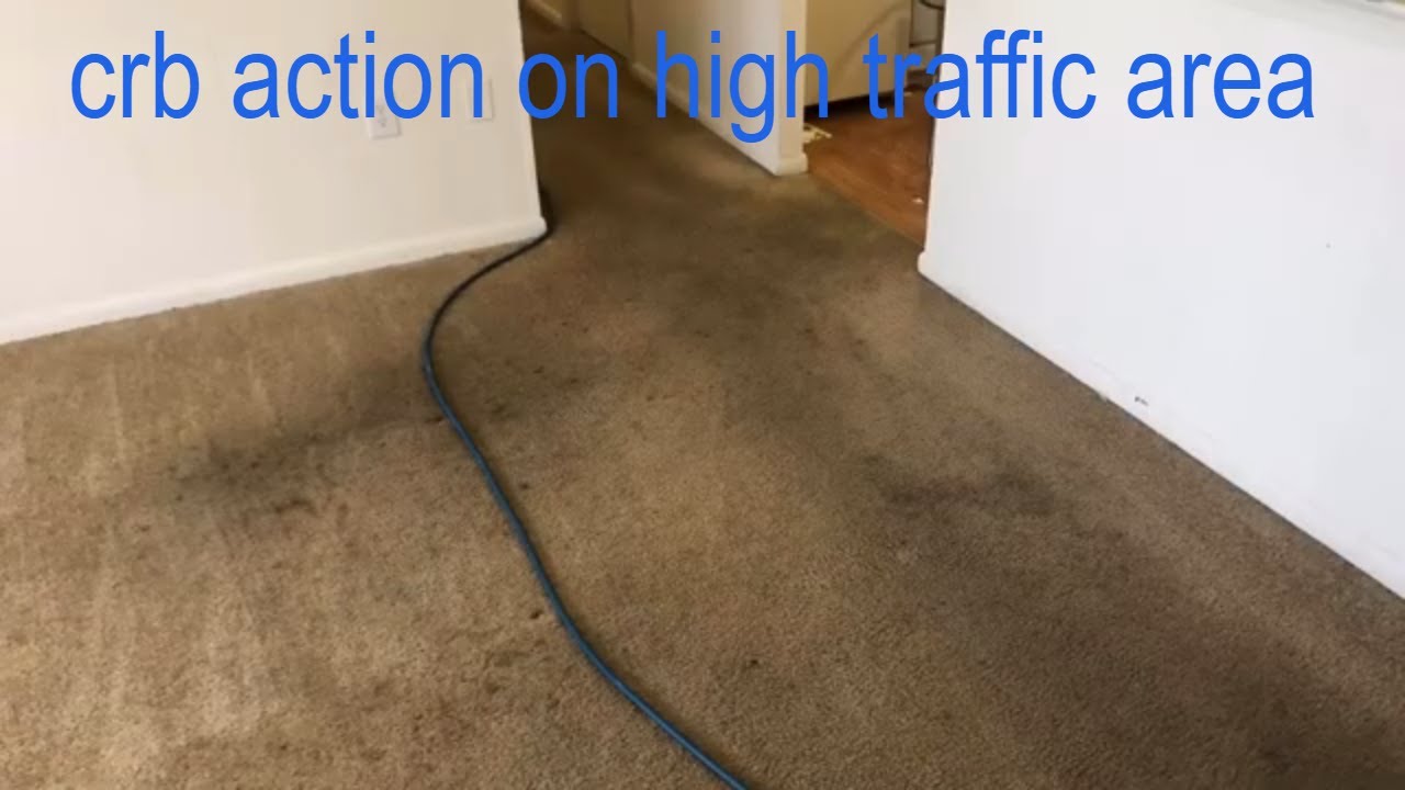Challenge accepted episode 8 . Vlog about cleaning dirty carpet. full