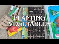 Planting vegetable seeds l how to get started l my veggie garden