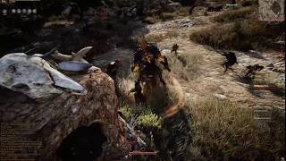 Black Desert Online - Shadow Play Test
