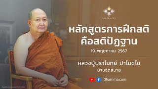 หลักสูตรการฝึกสติคือสติปัฏฐาน :: หลวงปู่ปราโมทย์ ปาโมชฺโช 19 พ.ค. 2567