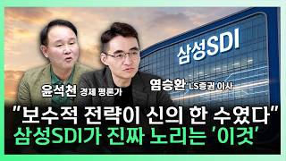 빅테크들이 줄 섰다? 삼성SDI가 장악한 '이것' 시장 완벽 분석 [찐코노미] [몰아보기]