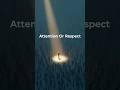 Why Chasing Attention Can Cost You Respect #psychology #socialskills #mindset #selfawareness