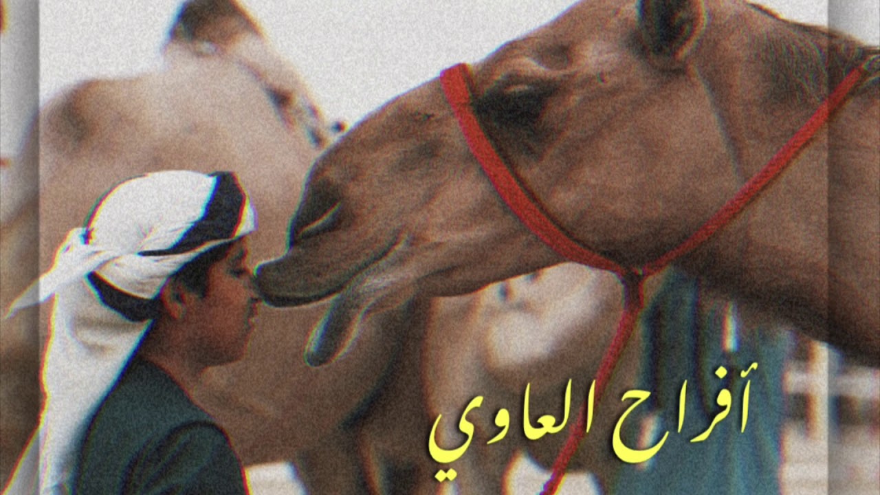 افراح العاوي كلمات راشد بن قطيما