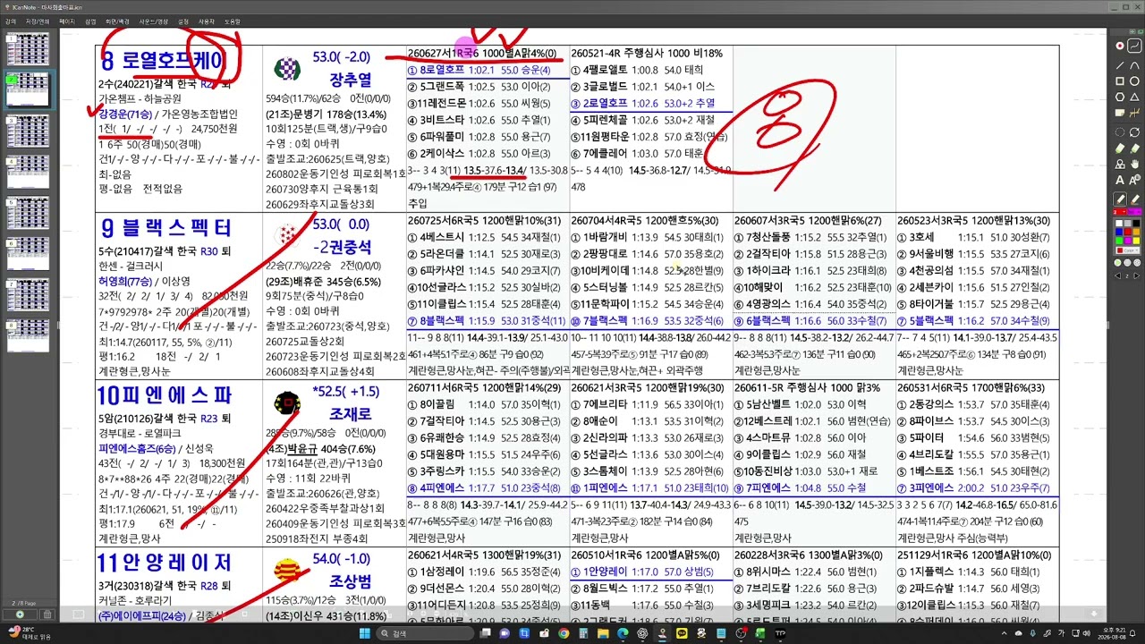 8월9일 일요경마 예상
