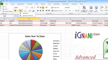 Excel 2010 - Ch:01 - I: Ribbon Commands