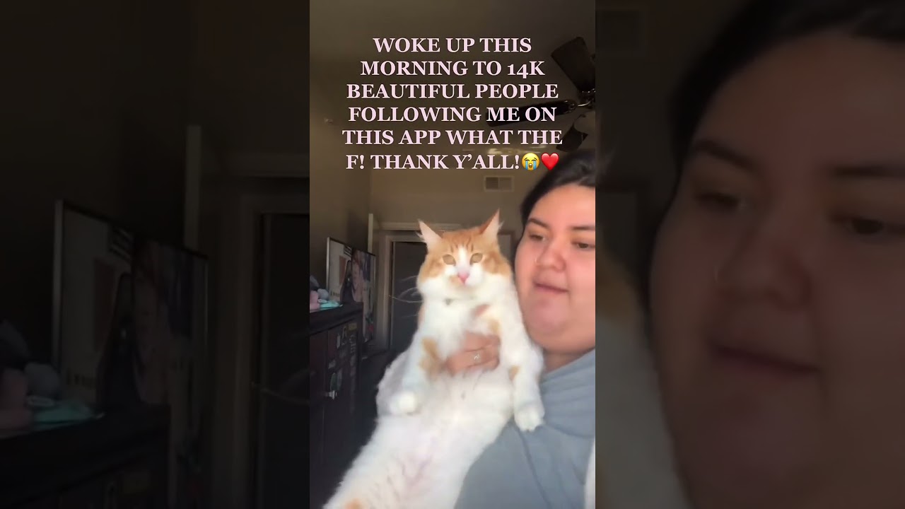 Embrace every curve with confidence 