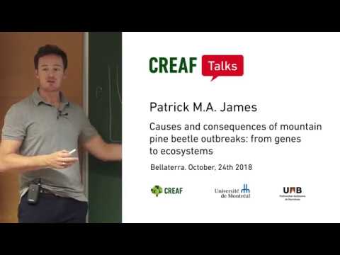 CREAF Talks. Patrick A. James: Causes and consequences of mountain pine beetle outbreaks.