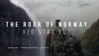 Roar of Norway – Red Stag Rut | Kronhjortsjakt i Norge |