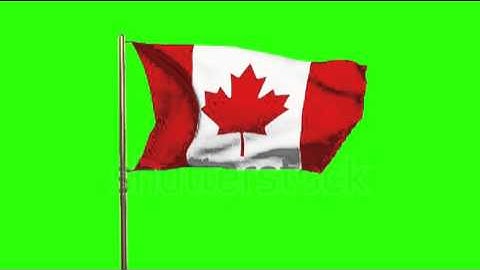 Canada flag waving in the wind. Green screen, alpha matte. Loopable animation Stock video by
