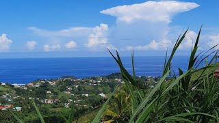 🇻🇨Happy Independence Day St Vincent and the Grenadines🇻🇨