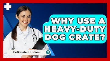 Why Use A Heavy-duty Dog Crate? - PetGuide360.com