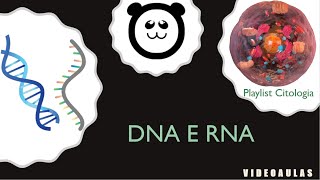 DNA e RNA - Diferenças