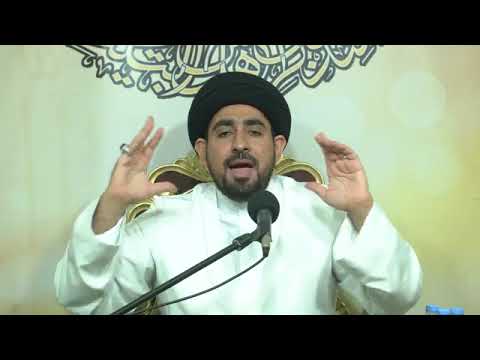 السيد حسن الخباز معنى ان أمير المؤمنين علي عليه السلام مسوس في ذات الله عز وجل