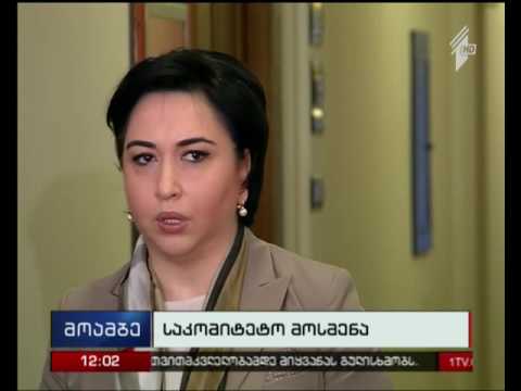 საარჩევნო სისტემის ე.წ. გერმანული მოდელის საკომიტეტო განიხილვა პარლამენტში