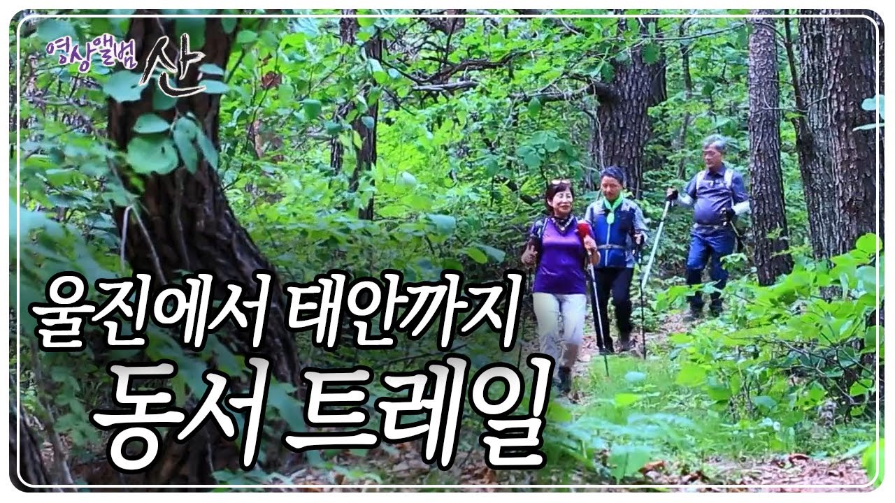 경북 울진군에서 충남 태안군까지 숲길, 마을길, 물길 등을 잇는 849km의 코스 '동서 트레일' [영상앨범 산] KBS 230702 방