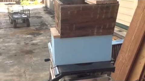 Top bar  and/ or langstroth splits