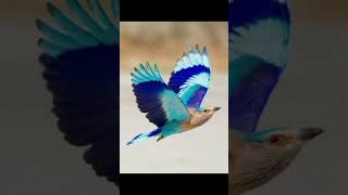 Inzuza Childrenmtwana Wamakhosiusaya Yini Esontwenienkonzweni