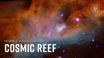 Cosmic Reef: NGC 2014 & NGC 2020
