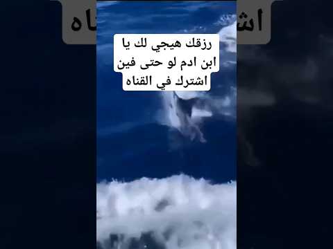  رزقك هيجي لك يا ابن ادم لو حتى فين اتمنى الاشتراك في