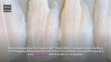 What does basa fish taste like?