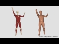 Reconstructing Personalized Anatomical Models for Physics-based Body Animation