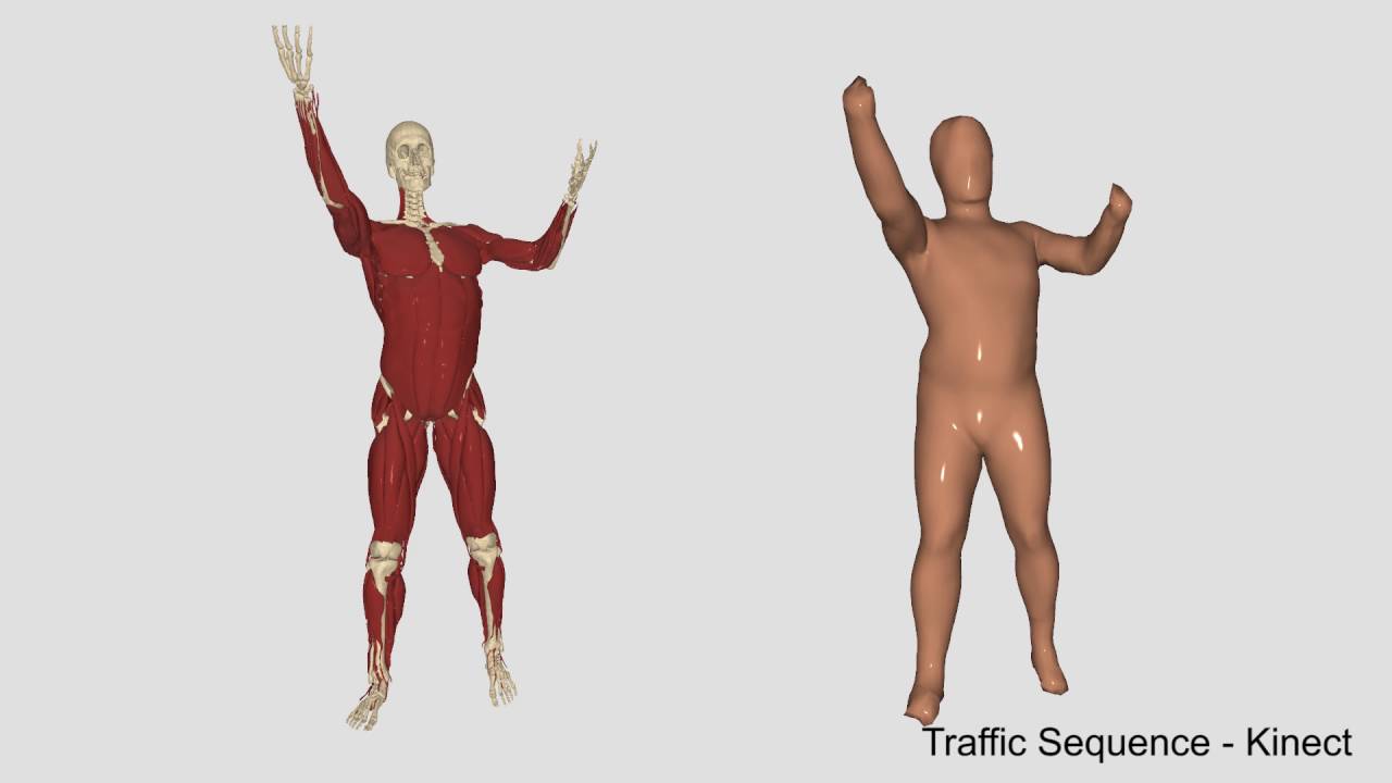 Reconstructing Personalized Anatomical Models for Physics-based Body Animation