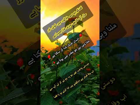 دوستی واجب تھی ہم پہ ہم نے کر لی آپ سے Alone Status Urdu Shayari Nasir Poetry Shorts