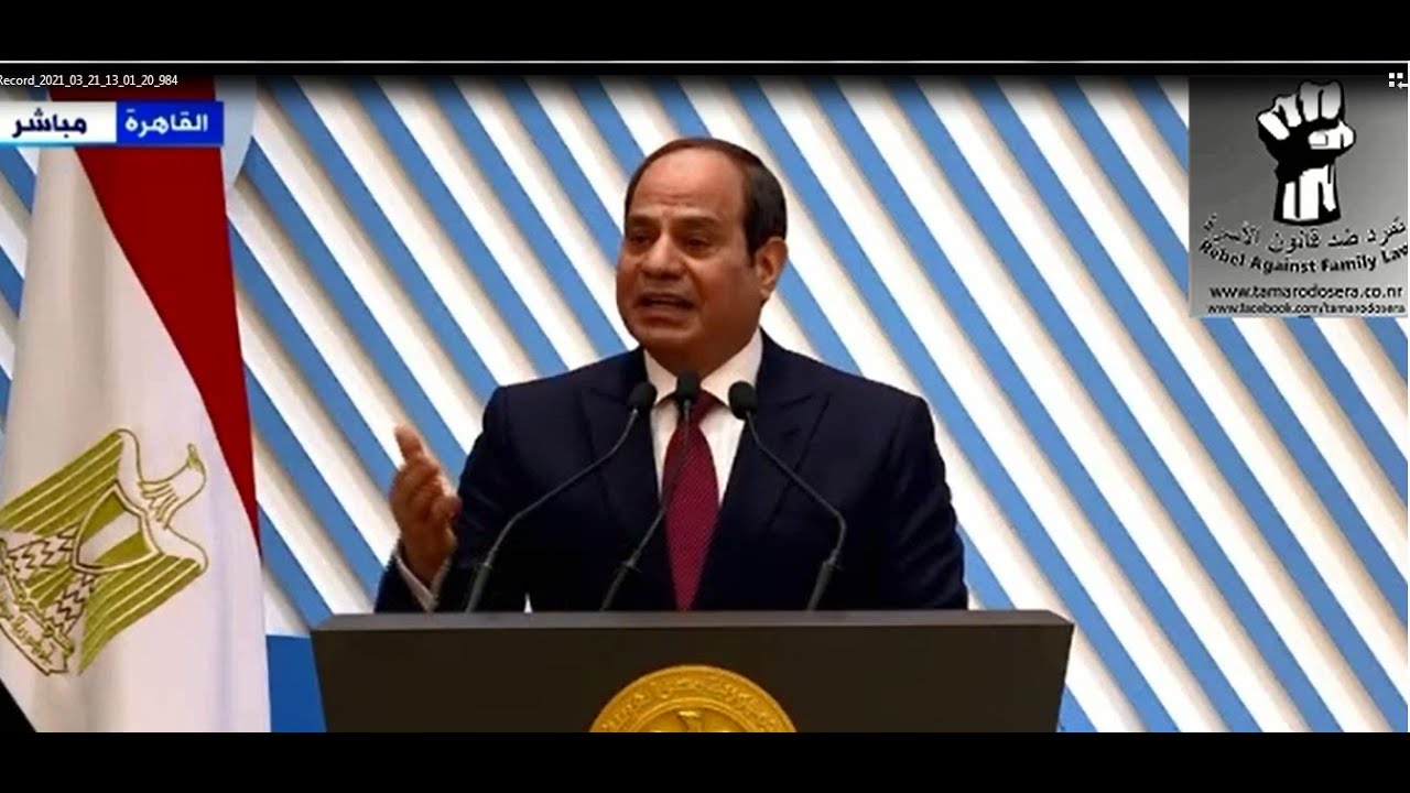 عاجل ولأول مرة الرئيس السيسى يتحدث عن قانون رؤية الاطفال