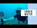 ProShot Case Underwater iPhone Filming At Hideaway Island Resort, Vanuatu