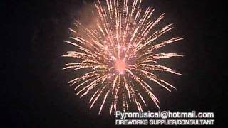 Fireworks sample show(shell)295